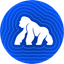 APE